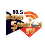 Listen to the station Radyo Şampiyon