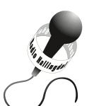 Listen to the station Radio Hallingdal