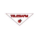 Listen to the station Radio Telesia