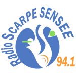 Listen to the station Radio Scarpe Sensée