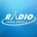 Listen to the station Radio Padul FM