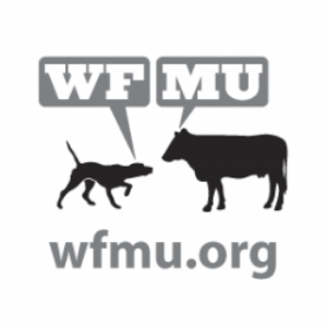 Listen to the station WMFU FM 91.1