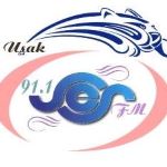 Listen to the station Ses FM